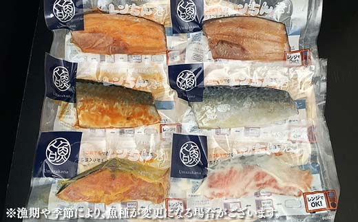 【期間限定！寄附額改定↓！】レンちん君漬魚6枚セット ほっけ さば さけ 鮭 秋鮭 西京漬 粕漬 釧路 北海道 _F4F-8443