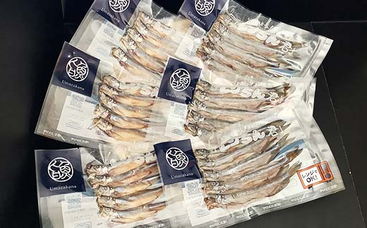 レンちん君釧路産本ししゃもセット シシャモ 冷凍 魚 海産物 一夜干し 北海道 _F4F-8446