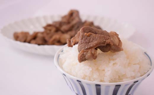 旨味ラムジンギスカン ねぎ塩 炭火風 600g（300g×2袋） ねぎ塩 炭火風 ラム ラム肉 ジンギスカン 焼肉 BBQ 肉 羊 北海道 ご当地 焼くだけ あいちょう _F4F-8514