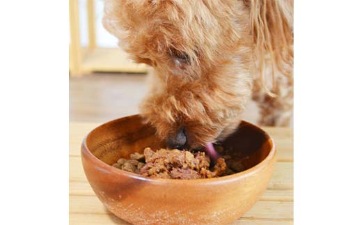 【期間限定！寄附額改定↓！】★北海道エゾ鹿肉と野菜を使用★ ドッグフード 小分け（100ｇ×10袋）エゾ鹿肉とホエーの毎日トッピング 犬用フードペットフード 肉 ペット おやつ こだわり 食材 肉の加工品 シカ肉 鹿肉 ペット用品 愛犬 家族 ファミリー 常温 北海道 釧路市 _F4F-8587