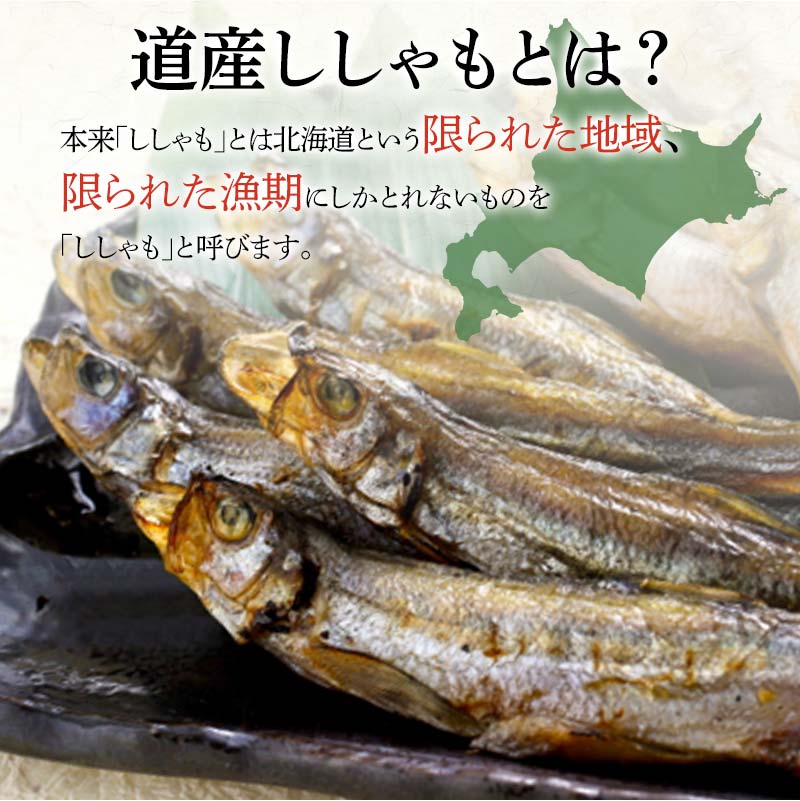 【期間限定！寄附額改定↓！】本場くしろ産 ししゃもメス60尾入り！ 本ししゃも 魚 ししゃも 魚好きのメス プチプチたまごのメス 魚介 グルメ シシャモ 北海道産 国産 魚 魚介 海の幸 _F5F-0139