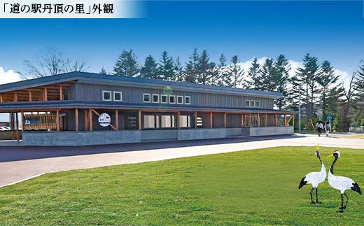 【期間限定！寄附額改定↓！】★赤いベレー 共通利用券★ 1,000円×10枚（宿泊・レストラン飲食・日帰り入浴で利用可） 北海道釧路市 温泉 宿泊 飲食 日帰り入浴 チケット クーポン 施設利用券 旅行 レジャー お食事券 入浴券 観光 _F5F-0143