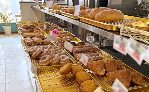 【期間限定！寄附額改定↓！】【3か月連続定期便】家計応援！大満足 市場のパン屋さんロスパンセット 15～20個 パン詰め合わせ セット おまかせ 訳あり 総菜パン 菓子パン パン セレクトパン セット 食品 _F5F-0171