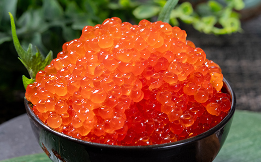 鱒いくら醤油漬け 250g パック 小分け 海鮮 魚介 グルメ 魚卵 人気 ご飯のお供 ごはん 米 いくら丼 ギフト 年末年始 北海道 釧路市 _F5F-0174