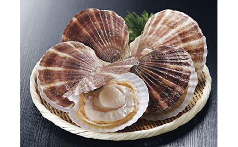 【北海道から直送!!】殻付活ホタテ貝（4.0kg詰）13～20枚 ふるさと納税 ほたて _F5F-0119