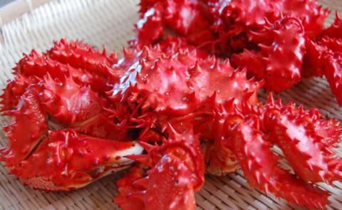 「新物」ボイル花咲かに(北海道産) 2～3尾入　茹で上り約1.0kg _F4F-0678