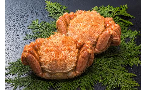 ボイル毛ガニ（冷凍）2尾で1.4～1.6kg前後 ふるさと納税 蟹 _F4F-5469