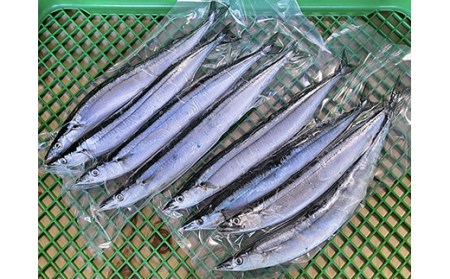 【期間限定！寄附額改定↓！】釧路産・急速冷凍 【特大】生サンマ（4尾入×2） 生サンマ さんま _F4F-0341