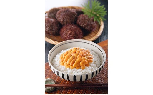 【ウニとイクラの豪華競演！】生うに折60g&いくら醤油漬90g ふるさと納税 うに いくら _F4F-8822