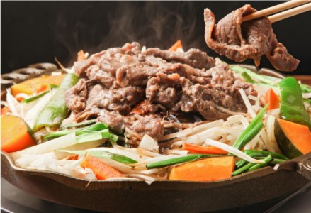 【期間限定！寄附額改定↓！】釧路産行者ニンニク入特製味付ジンギスカン500g×2 ふるさと納税 肉 F4F-0741