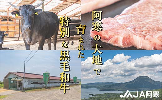 【期間限定！寄附額改定↓！】阿寒丹頂黒和牛 カットステーキ 300g×2 計600g 和牛 ステーキ 牛肉 肉 ビーフ 北海道産 冷凍 真空パック ギフト 贈答用 _F4F-10170