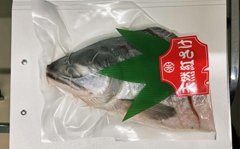 【期間限定！寄附額改定↓！】紅さけ姿造り 塩・粕 ふるさと納税 鮭 _F4F-1163