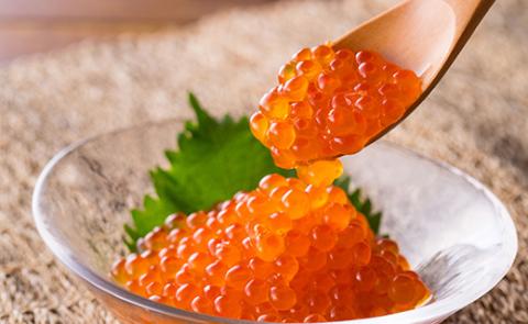 【期間限定！寄附額改定↓！】【釧路加工】時知らず切身・いくら醤油漬けセット ふるさと納税 鮭 いくら _F4F-1530