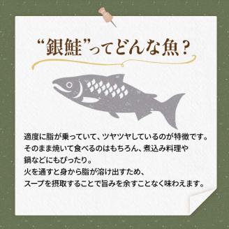 【特選】特盛一汐銀鮭切り身 約1.8kg さけ 魚介 魚 銀鮭 鮭 サケ しゃけ お弁当 おかず _F4F-2250