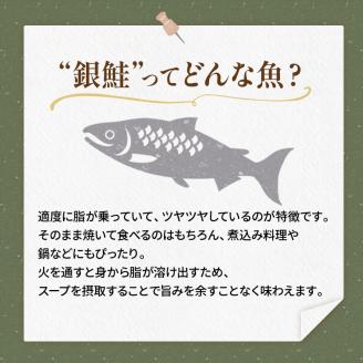 【特選】特盛銀鮭切り身 約2.4kg サケ さけ 銀鮭 ぎんしゃけ ご飯のお供 北海道 海産物 魚 お弁当 おかず 朝食 _F4F-2251