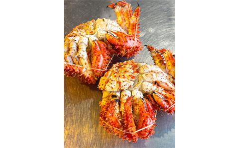 【期間限定！寄附額改定↓！】【茹でたて未冷凍】北海道産・ボイル花咲蟹2尾で1.0～1.2kg かに カニ 花咲ガニ 釧路 海鮮 _F4F-4789