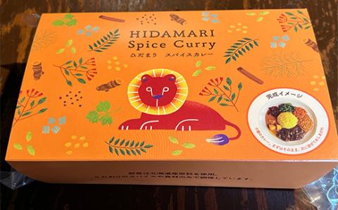 【期間限定！寄附額改定↓！】ひだまり薬膳スパイスカレー 4個 _F4F-2909