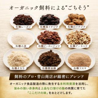 生ハンバーグ120g×12枚 釧路生まれ、釧路育ちのオーガニックビーフ 牛肉 ハンバーグ 国産 牛 肉 お肉 個包装 牛肉 おかず お弁当 北海道 _F4F-3500