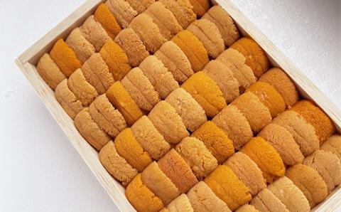 高級・特選縦列盛えぞバフンうに250g ふるさと納税 うに 高級 ウニ 雲丹 エゾバフンウニ 大容量 贈答用 ギフト 北海道 釧路 _F4F-3516