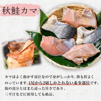 匠の厚切り マルア阿部商店特選 天然鮭 氷塩熟成食べ比べセット 秋鮭 サケ さけ 鮭 しゃけ 紅鮭 個包装 シャケ 切り身 魚 海鮮 セット _F4F-7918