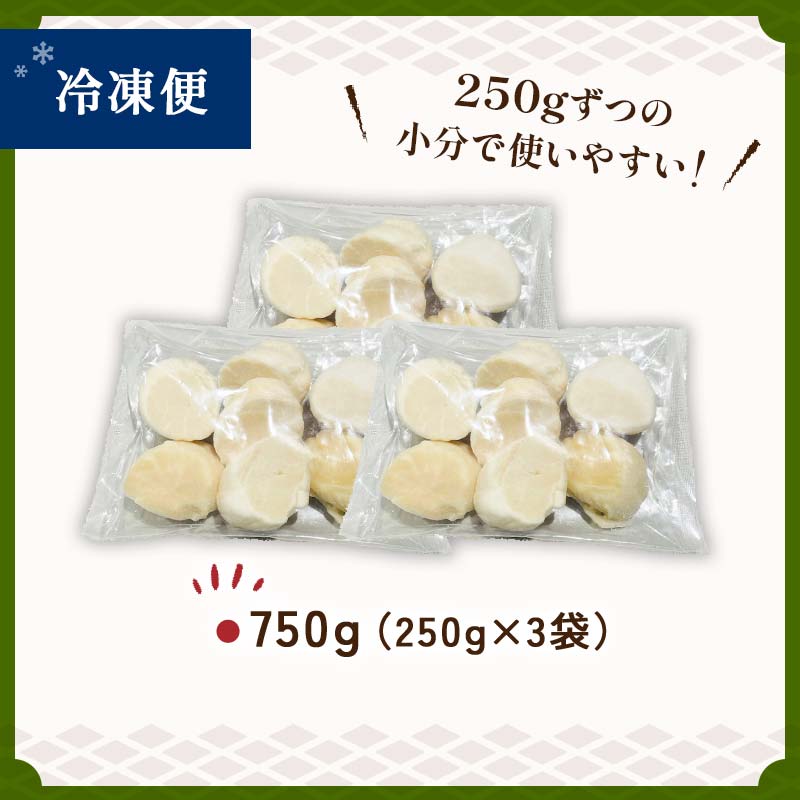 【訳あり】北海道産 ほたて貝柱 250g×3袋 750g ふるさと納税 帆立 _F4F-8904
