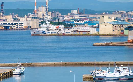 【貸切クルーズ】釧路観光クルーズ船シークレイン 貸切プライベートクルーズ クルーズ 体験 チケット 観光 乗船券 旅行 観光船 豪華 贅沢 国内旅行 旅 観光 トラベル 船 フェリー クルージング 豪華客船 貸切 貸切船 パーティ 家族 友達 記念日 御祝い お祝い _F4F-4330