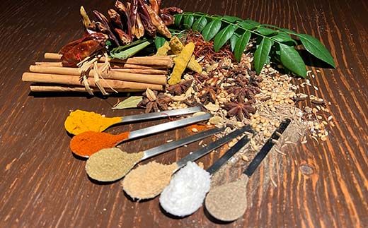 【3ヶ月連続定期便】ひだまり薬膳スパイスカレー 2個 冷凍 薬膳 スパイスカレー カレー スパイス デトックス 保存食 ジビエ 低糖質 ターメリックライス _F4F-4365