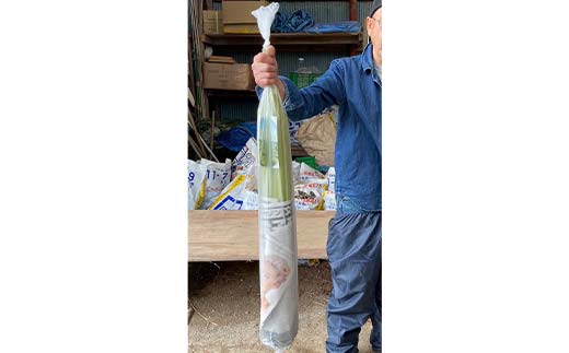 【6月中に順次発送】音蕗(おんぶき) 1kg 音別の蕗と道東産の昆布だけで作った佃煮「ふきっこ」 おかず 無農薬 ご飯のお供 セット 小分け つくだ煮 佃煮 フキ ふき 音別産生蕗 北海道産 北海道 _F4F-4564