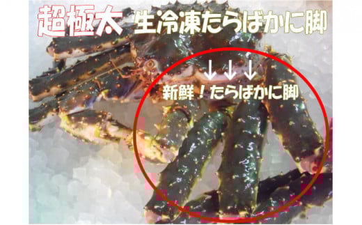 焼きガニ用 生冷凍本タラバカニ脚800g×1 ふるさと納税 かに 蟹 _F4F-4788