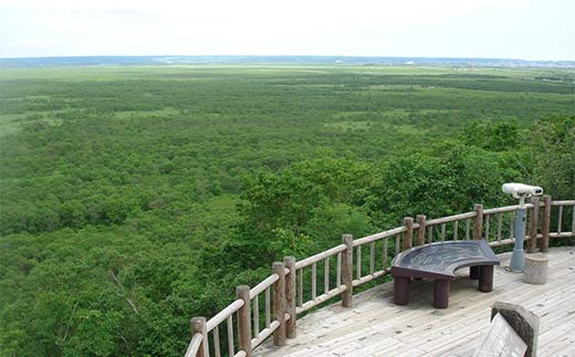 釧路湿原チョットのたび (普通車） 釧路湿原 釧路市 旅行 トラベル 空港 市内観光 観光 _F4F-7961