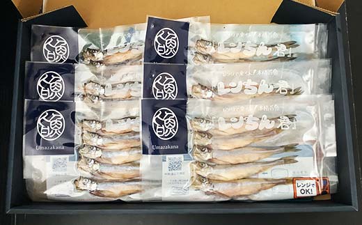 レンちん君釧路産子持ち本ししゃも30尾セット シシャモ 冷凍 魚 海産物 一夜干し 北海道 _F4F-8444