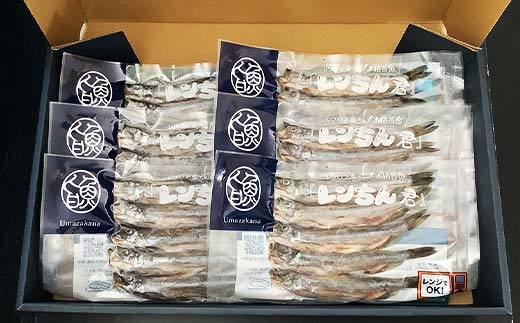 レンちん君釧路産本しゃもオス30尾セット シシャモ 冷凍 魚 海産物 一夜干し 北海道 _F4F-8445