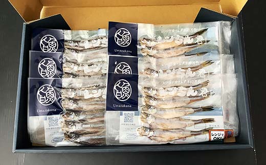 レンちん君釧路産本ししゃもセット シシャモ 冷凍 魚 海産物 一夜干し 北海道 _F4F-8446