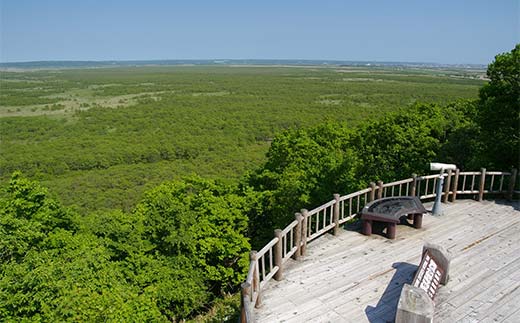 釧路市の飲食店や観光施設で使える！マルチクーポン 10,000円分（1,000円×10枚）クーポン 釧路市 観光 飲食店 長期滞在 返礼品 チケット グルメ レストラン 利用券 観光施設 _F4F-8458
