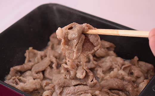 旨味ラムジンギスカン ねぎ塩 炭火風 600g（300g×2袋） ねぎ塩 炭火風 ラム ラム肉 ジンギスカン 焼肉 BBQ 肉 羊 北海道 ご当地 焼くだけ あいちょう _F4F-8514