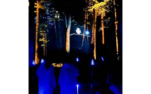 【期間限定！寄附額改定↓！】阿寒湖の森ナイトウォーク「KAMUY LUMINA (カムイルミナ)」入場券 大人2枚 体験 アクティビティ プロジェクションマッピング デジタル体験 アイヌ 文化 自然 森林浴 美容 アウトドア 自然 エンタメ 旅行 トラベル チケット アート 芸術 異世界北海道 釧路市 _F4F-8584