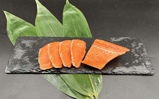 トラウトサーモン（くしろ茜サーモン） 500g サーモン 鮭 生食 刺身 海鮮 北海道 釧路市 F5F-0109