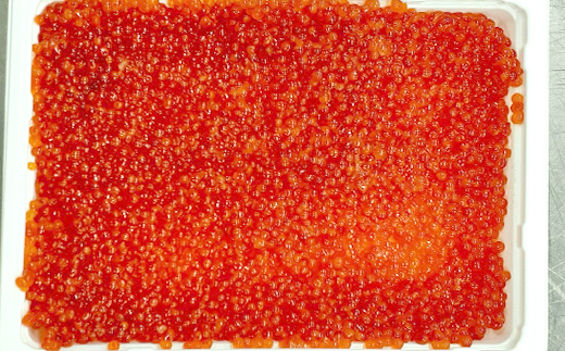 紅鮭いくら醤油漬け 500g 冷凍 年末年始 いくら 鮭いくら ご飯のお供 ご飯 米 北海道 釧路市 _F5F-0116