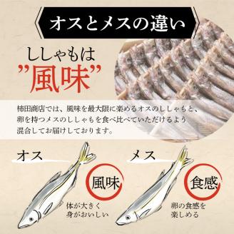 本場くしろ産 ししゃもオス・メス30尾入り！ 本ししゃも 魚 ししゃも 魚好きのオス プチプチたまごのメス 魚介 グルメ シシャモ 北海道産 国産 魚 魚介 海の幸 _F4F-9164