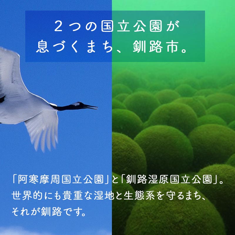 あなたの寄附が自然を守る、未来へつなぐ　釧路湿原等自然環境保全支援 【返礼品なし】10000000円  shizen08