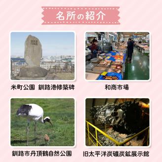 釧路市在住観光クリエーター　原田カーナさんがご案内する釧路市タクシー観光プラン　釧路市内満喫コース（普通車）定員3名 _F4F-5955