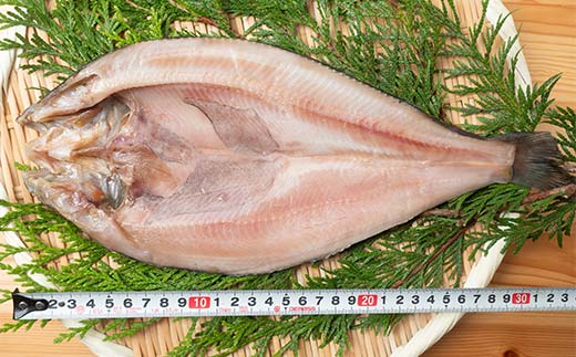 【北海道産】開き真ほっけ 3枚 ホッケ ほっけ 開き 海鮮 魚 北海道 国産 真空パック 贈答 ギフト 贈り物 お中元 御中元 人気 _F4F-5086