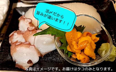 【期間限定！寄附額改定↓！】北海道産・ボイルたこ脚 (真だこ)　1kg前後 たこ 刺身 たこ焼き カルパッチョ 北海道 海鮮 海産物 冷凍 _F4F-2245