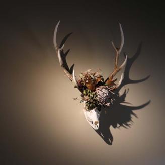 花鹿 ―ROKU― 鹿 角 オブジェ 飾り ドライフラワー インテリア シカ 鹿角 装飾 _F4F-3316