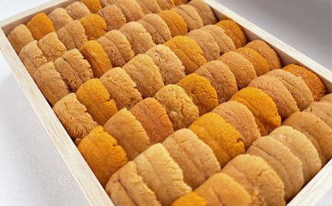 高級・特選縦列盛えぞバフンうに250g ふるさと納税 うに 高級 ウニ 雲丹 エゾバフンウニ 大容量 贈答用 ギフト 北海道 釧路 _F4F-3516