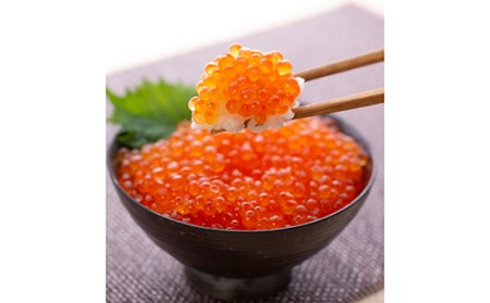 新物【北海道産】いくら醤油漬 500g(500g×1） いくら 小分け イクラ 北海道 鮭いくら 鮭 _F4F-8916