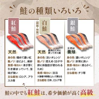 【極味】BIgサイズ一汐紅鮭切り身（厚切り）2切入真空×6袋 ふるさと納税 サケ 鮭 _F4F-7958