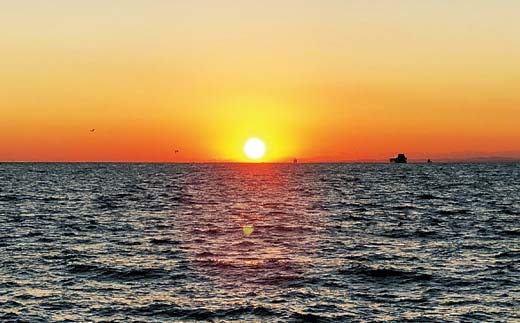 【期間限定！寄附額改定↓！】世界三大夕日へLET'S GO！釧路発見！サンセットクルーズ乗船券(ペアチケット) 飲み放題付き 釧路観光クルーズ船 シークレイン クルーズ 体験 チケット 観光 乗船券 旅行 観光船 _F4F-4329