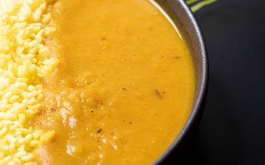 【期間限定！寄附額改定↓！】北海道シリーズエゾシカカレー2個＆ジャガイモカレー2個 ターメリックライス付き カレー レトルト 常備 冷凍 小分け 簡単調理 おかず 北海道 ターメリック 保存料不使用 化学調味料不使用 添加物不使用 _F4F-5153