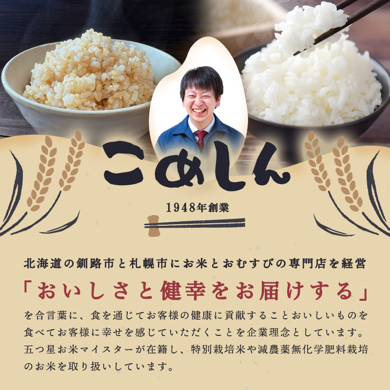 【期間限定！寄附額改定↓！】【令和7年度産】 ななつぼし 10kg 白米 北海道産 米 コメ こめ お米 通常発送 _F5F-0160